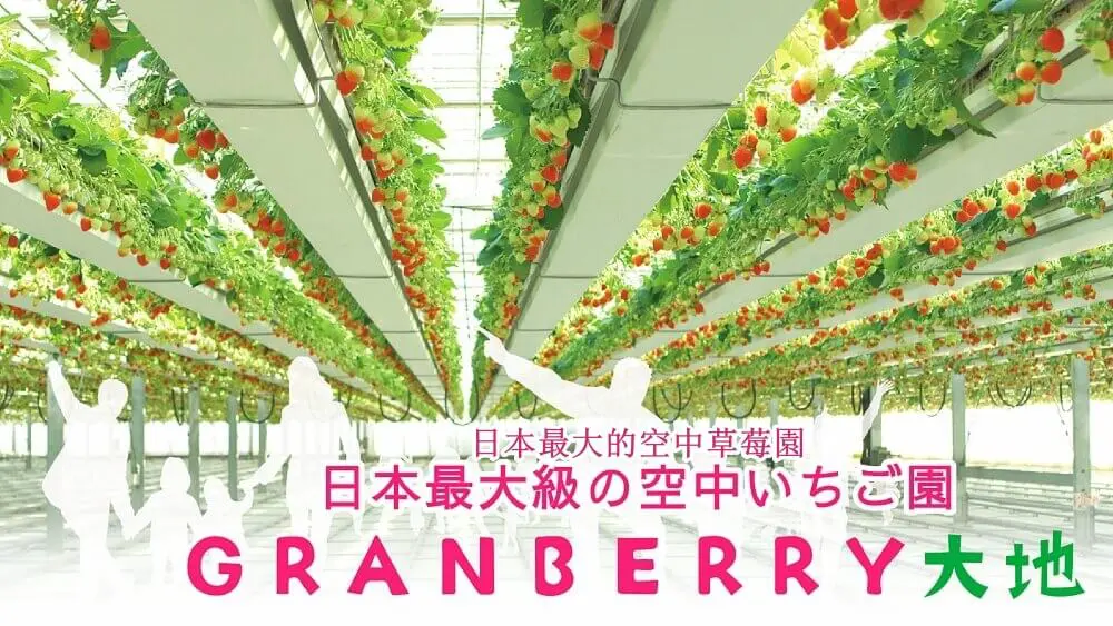 空中草莓園